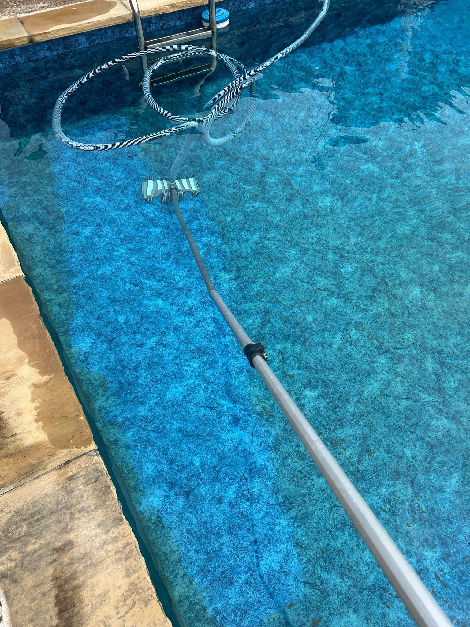 Pool Cleaning